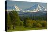 Bucolic Landscape, Black Butte Ranch, Sisters, Oregon, Usa-Michel Hersen-Stretched Canvas