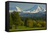 Bucolic Landscape, Black Butte Ranch, Sisters, Oregon, Usa-Michel Hersen-Framed Stretched Canvas