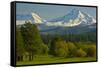 Bucolic Landscape, Black Butte Ranch, Sisters, Oregon, Usa-Michel Hersen-Framed Stretched Canvas