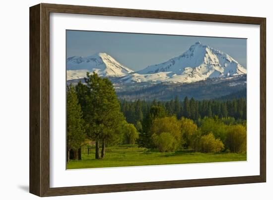 Bucolic Landscape, Black Butte Ranch, Sisters, Oregon, Usa-Michel Hersen-Framed Photographic Print