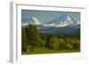 Bucolic Landscape, Black Butte Ranch, Sisters, Oregon, Usa-Michel Hersen-Framed Photographic Print