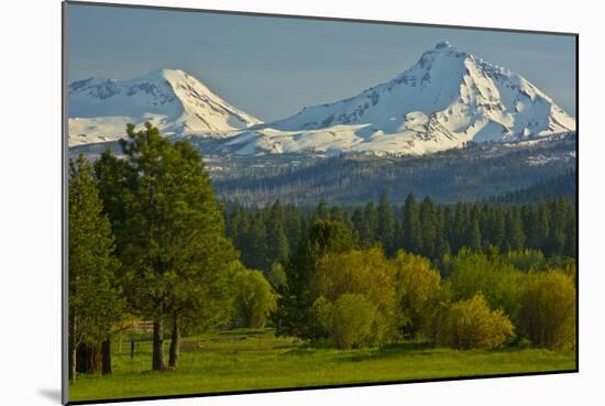 Bucolic Landscape, Black Butte Ranch, Sisters, Oregon, Usa-Michel Hersen-Mounted Photographic Print