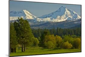 Bucolic Landscape, Black Butte Ranch, Sisters, Oregon, Usa-Michel Hersen-Mounted Photographic Print