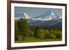 Bucolic Landscape, Black Butte Ranch, Sisters, Oregon, Usa-Michel Hersen-Framed Photographic Print