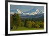 Bucolic Landscape, Black Butte Ranch, Sisters, Oregon, Usa-Michel Hersen-Framed Photographic Print