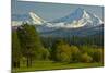 Bucolic Landscape, Black Butte Ranch, Sisters, Oregon, Usa-Michel Hersen-Mounted Photographic Print