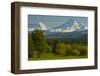 Bucolic Landscape, Black Butte Ranch, Sisters, Oregon, Usa-Michel Hersen-Framed Photographic Print