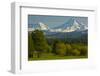 Bucolic Landscape, Black Butte Ranch, Sisters, Oregon, Usa-Michel Hersen-Framed Photographic Print