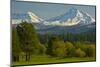 Bucolic Landscape, Black Butte Ranch, Sisters, Oregon, Usa-Michel Hersen-Mounted Photographic Print