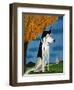 Bud of Vermont-Mark Ulriksen-Framed Art Print