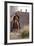 Bud Spencer Riding a Horse on the Set of Soldier of Fortune-null-Framed Photographic Print