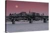 Budapest Bridges-null-Stretched Canvas