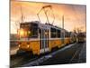 Budapest tram at sunrise, Budapest, Hungary-Karen Deakin-Mounted Photographic Print