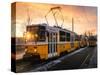 Budapest tram at sunrise, Budapest, Hungary-Karen Deakin-Stretched Canvas