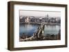 Budapest-e.della-Framed Photographic Print