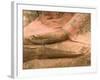 Buddha at Ayuthaya, Siam, Thailand-Gavriel Jecan-Framed Photographic Print