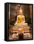 Buddha at Ayuthaya, Siam, Thailand-Gavriel Jecan-Framed Stretched Canvas