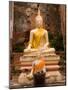 Buddha at Ayuthaya, Siam, Thailand-Gavriel Jecan-Mounted Photographic Print