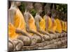 Buddha at Ayuthaya, Siam, Thailand-Gavriel Jecan-Mounted Photographic Print