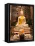 Buddha at Ayuthaya, Siam, Thailand-Gavriel Jecan-Framed Stretched Canvas