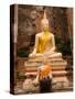 Buddha at Ayuthaya, Siam, Thailand-Gavriel Jecan-Stretched Canvas