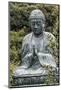Buddha at Gokokusan Tenno ji Temple, Taito, Tokyo, Japan-Peter Adams-Mounted Photographic Print