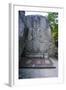 Buddha Carved in a Rock Cliff, Beopjusa Temple Complex, South Korea, Asia-Michael-Framed Photographic Print