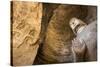 Buddha Caves, Datong, Shanxi Province, China-Paul Souders-Stretched Canvas