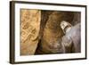 Buddha Caves, Datong, Shanxi Province, China-Paul Souders-Framed Photographic Print