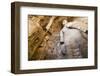 Buddha Caves, Datong, Shanxi Province, China-Paul Souders-Framed Photographic Print