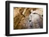 Buddha Caves, Datong, Shanxi Province, China-Paul Souders-Framed Photographic Print