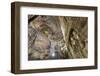 Buddha Caves, Datong, Shanxi Province, China-Paul Souders-Framed Photographic Print