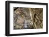 Buddha Caves, Datong, Shanxi Province, China-Paul Souders-Framed Photographic Print