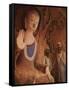 Buddha, China-Science Source-Framed Stretched Canvas