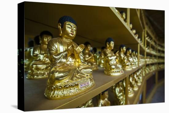 Buddha Collection under the Golden Maitreya Statue, Beopjusa Temple Complex, South Korea, Asia-Michael Runkel-Stretched Canvas