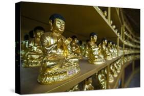 Buddha Collection under the Golden Maitreya Statue, Beopjusa Temple Complex, South Korea, Asia-Michael Runkel-Stretched Canvas