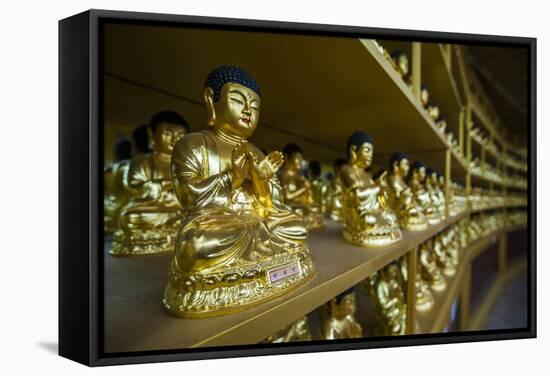 Buddha Collection under the Golden Maitreya Statue, Beopjusa Temple Complex, South Korea, Asia-Michael Runkel-Framed Stretched Canvas