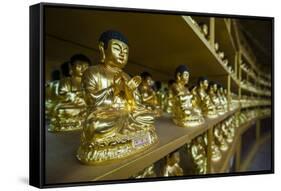 Buddha Collection under the Golden Maitreya Statue, Beopjusa Temple Complex, South Korea, Asia-Michael Runkel-Framed Stretched Canvas