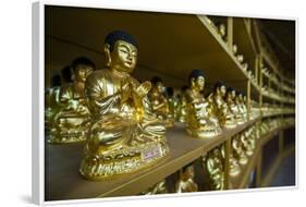 Buddha Collection under the Golden Maitreya Statue, Beopjusa Temple Complex, South Korea, Asia-Michael Runkel-Framed Photographic Print