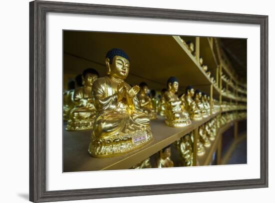 Buddha Collection under the Golden Maitreya Statue, Beopjusa Temple Complex, South Korea, Asia-Michael Runkel-Framed Photographic Print