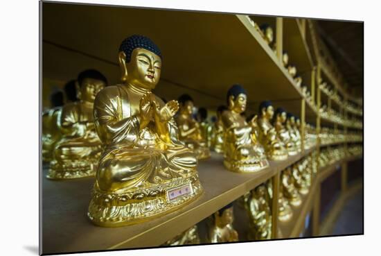 Buddha Collection under the Golden Maitreya Statue, Beopjusa Temple Complex, South Korea, Asia-Michael Runkel-Mounted Photographic Print