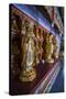 Buddha Collection under the Golden Maitreya Statue, Beopjusa Temple Complex, South Korea, Asia-Michael Runkel-Stretched Canvas