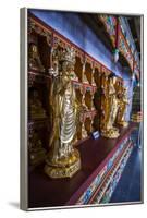 Buddha Collection under the Golden Maitreya Statue, Beopjusa Temple Complex, South Korea, Asia-Michael Runkel-Framed Photographic Print