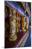 Buddha Collection under the Golden Maitreya Statue, Beopjusa Temple Complex, South Korea, Asia-Michael Runkel-Mounted Photographic Print