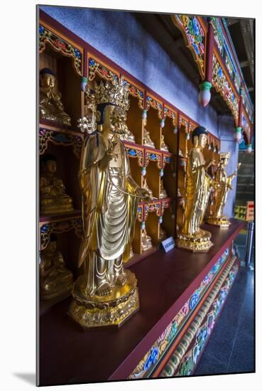 Buddha Collection under the Golden Maitreya Statue, Beopjusa Temple Complex, South Korea, Asia-Michael Runkel-Mounted Photographic Print