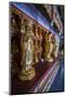 Buddha Collection under the Golden Maitreya Statue, Beopjusa Temple Complex, South Korea, Asia-Michael Runkel-Mounted Photographic Print