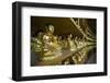 Buddha Collection under the Golden Maitreya Statue, Beopjusa Temple Complex, South Korea, Asia-Michael Runkel-Framed Photographic Print