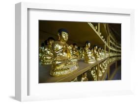 Buddha Collection under the Golden Maitreya Statue, Beopjusa Temple Complex, South Korea, Asia-Michael Runkel-Framed Photographic Print