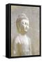 Buddha Dreams-Kimberly Allen-Framed Stretched Canvas