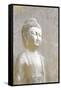 Buddha Dreams-Kimberly Allen-Framed Stretched Canvas